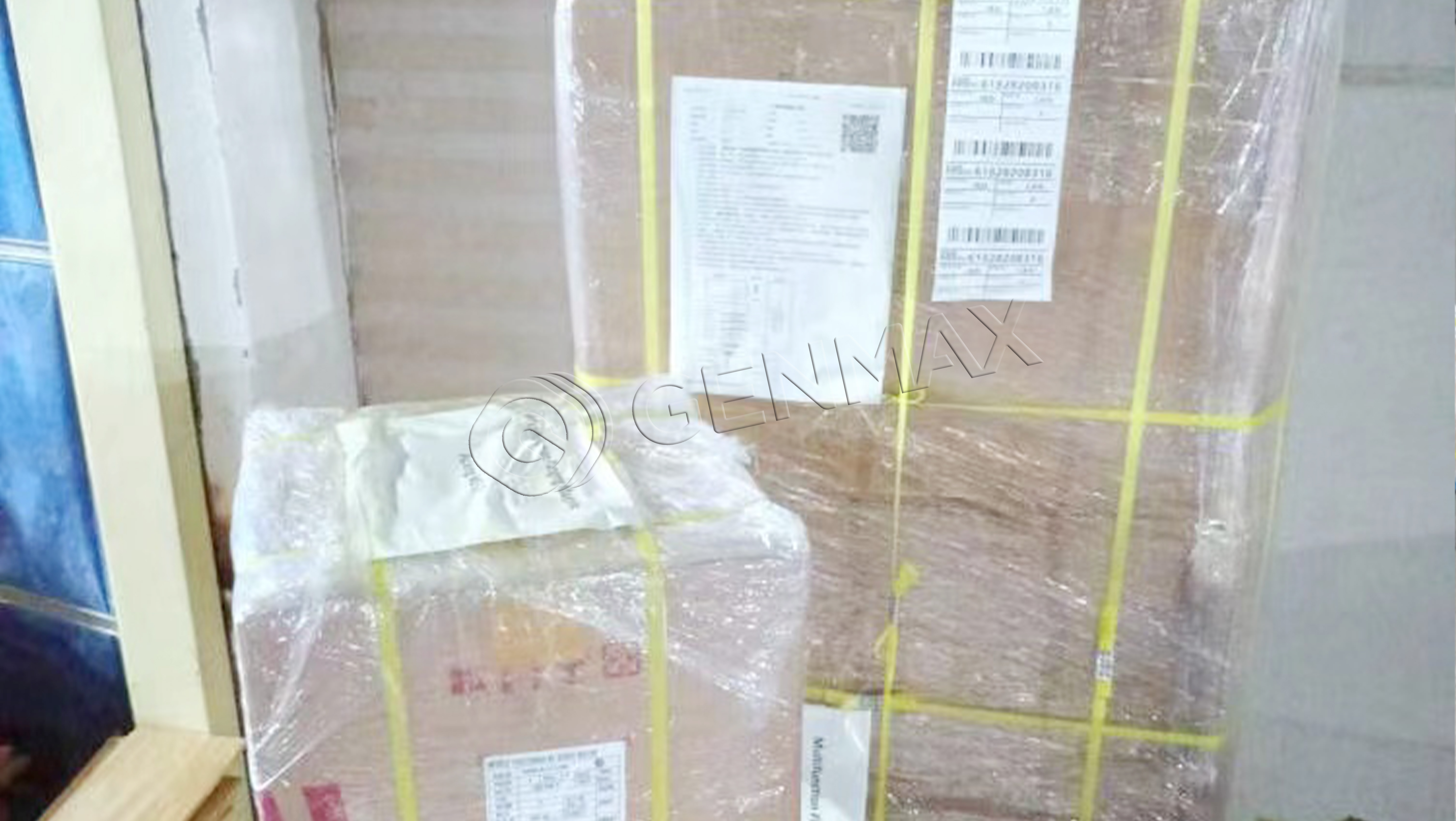 GENMAX 床垫缝纫机 (3)